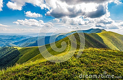 Lovely green grassy hills of mountain ridge Stock Photo