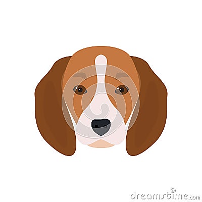 Lovely head bearded dog Beagle. Vector Illustration