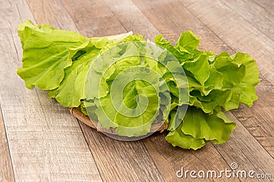 Lovely and healthy vagetables Chinese cabbage or Bok-choy Stock Photo