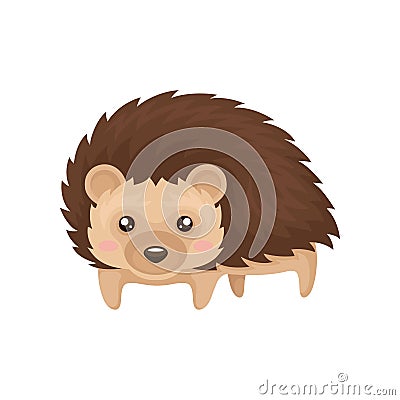 Lovely hedgehog prickly animal cartoon character vector Illustration on a white background Vector Illustration