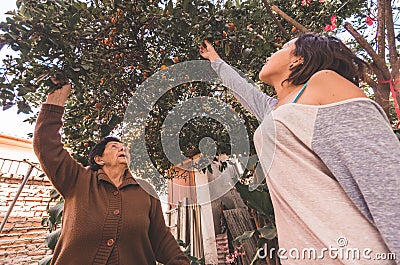 Lovely hispanic grandmother granddaughter picking Stock Photo