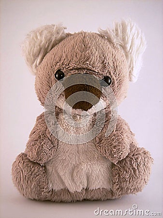 Lovely Koala peluche Stock Photo