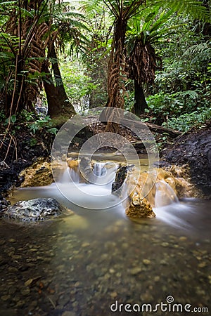 Lovely blurry smooth hot springs stream in the middle of the wood of Gede Pangrango Mountain Stock Photo