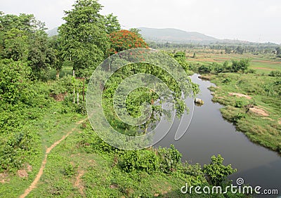 So lovely nature in west bengal. Stock Photo