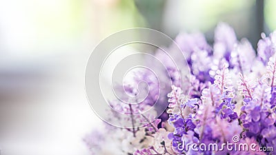 Lovely Purple FlowersBlurred Background Stock Photo