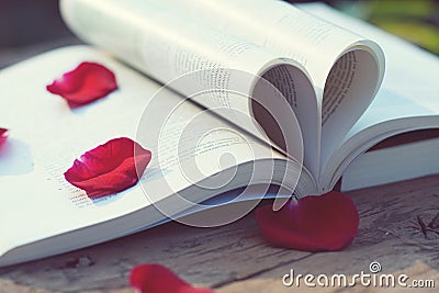 Lovely red color rose petals on book roll into heart shape with blur green garden background, soft color tone, sweet valentine Stock Photo