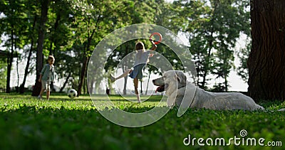 Lovely retriever lying observing park. Playful siblings kicking ball on grass Stock Photo