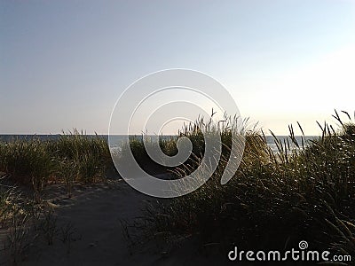 Lovely Sand Grass Stock Photo