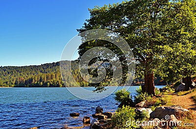 LOVELY SCENERY AROUND LAKE GREGORY Stock Photo