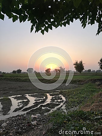 Lovely scenery of sun Stock Photo