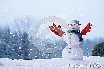 Lovely smiling snowman in the winter garden Stock Photo