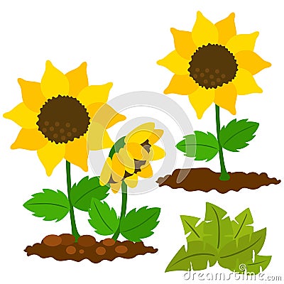 Lovely sunflower vector clipart Cartoon Illustration