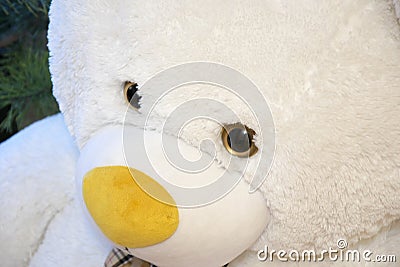 Lovely teddy bear closeup, fluffy big toy Stock Photo