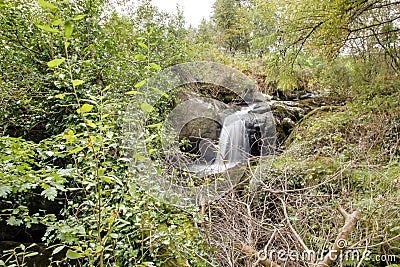 Lovely waterfall in typical Irish landscape Stock Photo