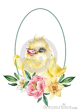 Lovely yellow chicken in a frame with daffodil flowers. Cute postcard happy easter. Cartoon Illustration