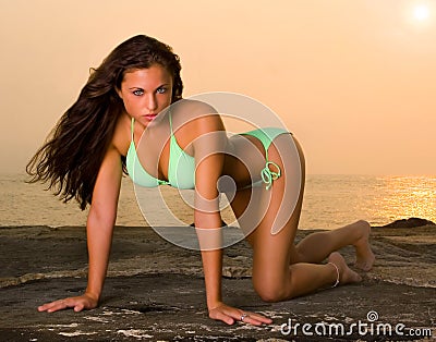 Lovely Young Woman in a Bikini Stock Photo