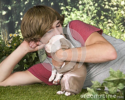 Lovin' on His Pitbull Pup Stock Photo