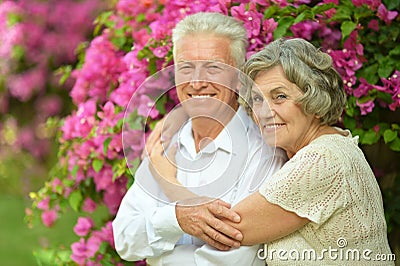 Loving elder couple Stock Photo