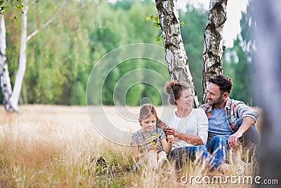 Loving family together in a park, field or woodlands Stock Photo