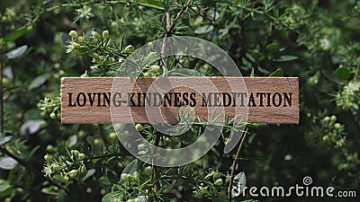 Loving, Kindness meditation. Written on wooden surface. Background tree leaves. Mental health and lifestyle Stock Photo