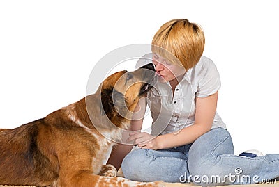 Loving loyal dog Stock Photo