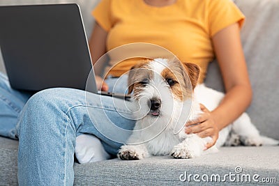 Loving loyal doggy laying by his working owner Stock Photo