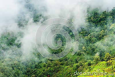 Low altitude clouds over the green forest mountain Stock Photo