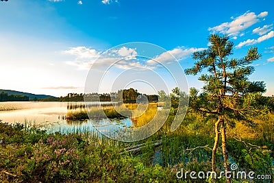 low angel view over a seascape in Sweden Stock Photo