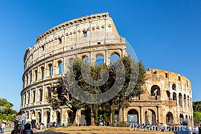 Low angle front view of people and a big tree in front of the Colosseum in Rome. Editorial Stock Photo