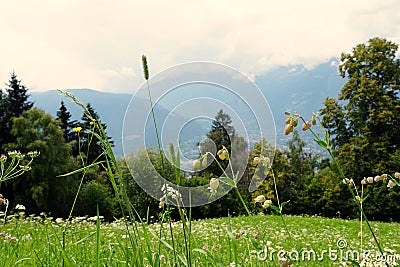 Low angle shot of the Alps and Merano city in Hafling Stock Photo
