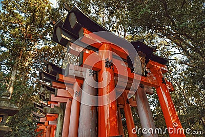 Low-angle shot of Senbon Torii in Japan Stock Photo