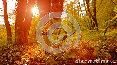 LOW ANGLE: Unrecognizable happy woman wearing yellow boots runs in fall forest. Stock Photo