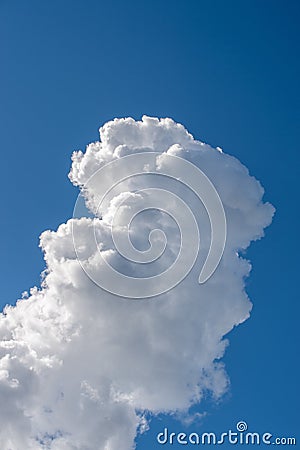 Low angle vertical shot of a cloud named cumulus clouds Stock Photo