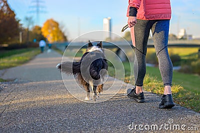 Low angle view of an athletic woman walking her dog at sunset Stock Photo