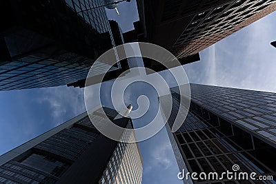 low angle view of four skyscrapers with different facade designs under the blue sky Stock Photo