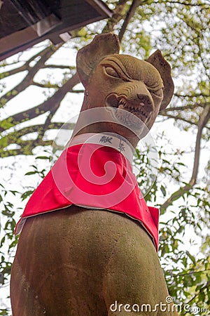 Low angle view of statue of the fox kitsune god inari,wearing a red bib, at a shinto shrine in Kyoto, Japan Stock Photo