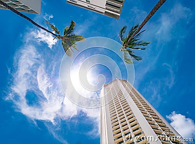 Low angle view of a tall white building and palm trees with blue sky in background Stock Photo