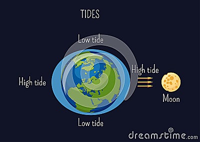 Low and high lunar tides diagram. Effect of Moon gravitational force on seacoast water level. Vector Illustration