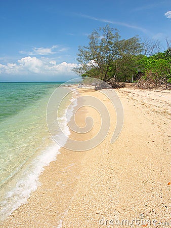 Low Isles - Queensland Australia Stock Photo