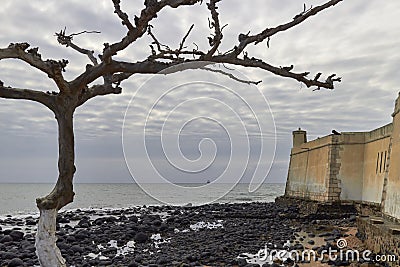 A Low lying Tree sits in the foreground of Ana Chaves Nay, and the Corner Walls of the Sao Sebastiao fort in Sao Tome. Stock Photo