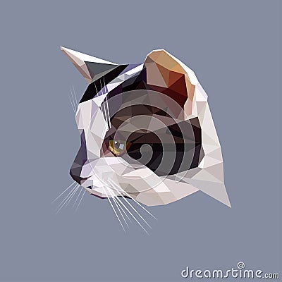 Low Poly Design. Polygonal Color Cat Illustration. Vector Illustration