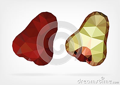 Low Poly Makopa (java wax apple) Vector Illustration