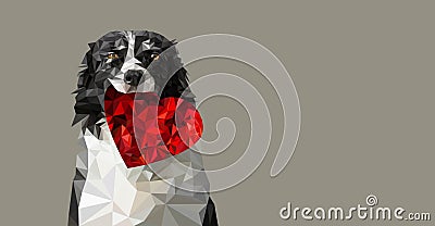 Low Poly Vector Illustration: Dog Holding Red Heart. Black and White Border Collie on Romantic Valentines Greeting Card, Wedding A Vector Illustration