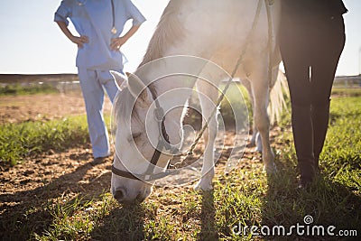 Low section of female jockey and vet standing by horse Stock Photo