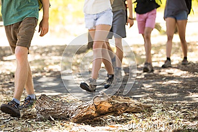 Low section of friends walking on field Stock Photo