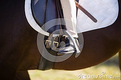 Low section of girl sitting on horse Stock Photo