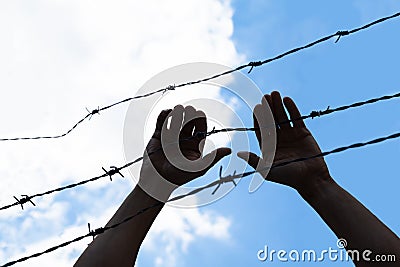 Refugee Holding Barbed Wire Fence Stock Photo