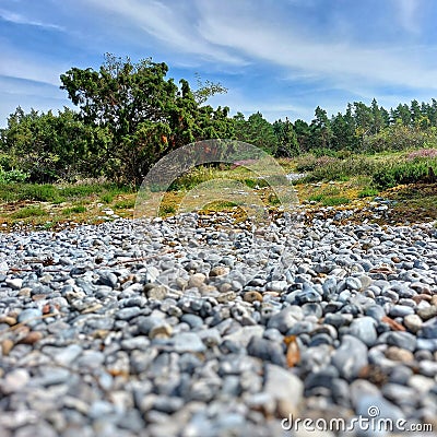 Low shot of narrow heath with firestone fields - a nature reserve on Ruegen in northern Germany Stock Photo