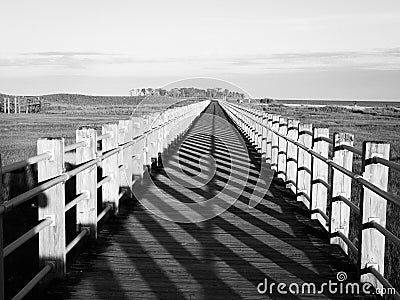 Boardwalk, perspective with vanishing point leading lines and shadow pattern Stock Photo