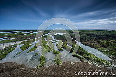 Low Tide coastal landscape in Peninsula Valdes, World Heritage Site, Stock Photo